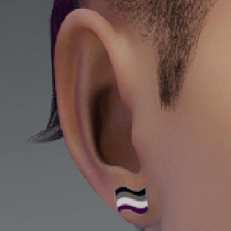 pride earrings asexual