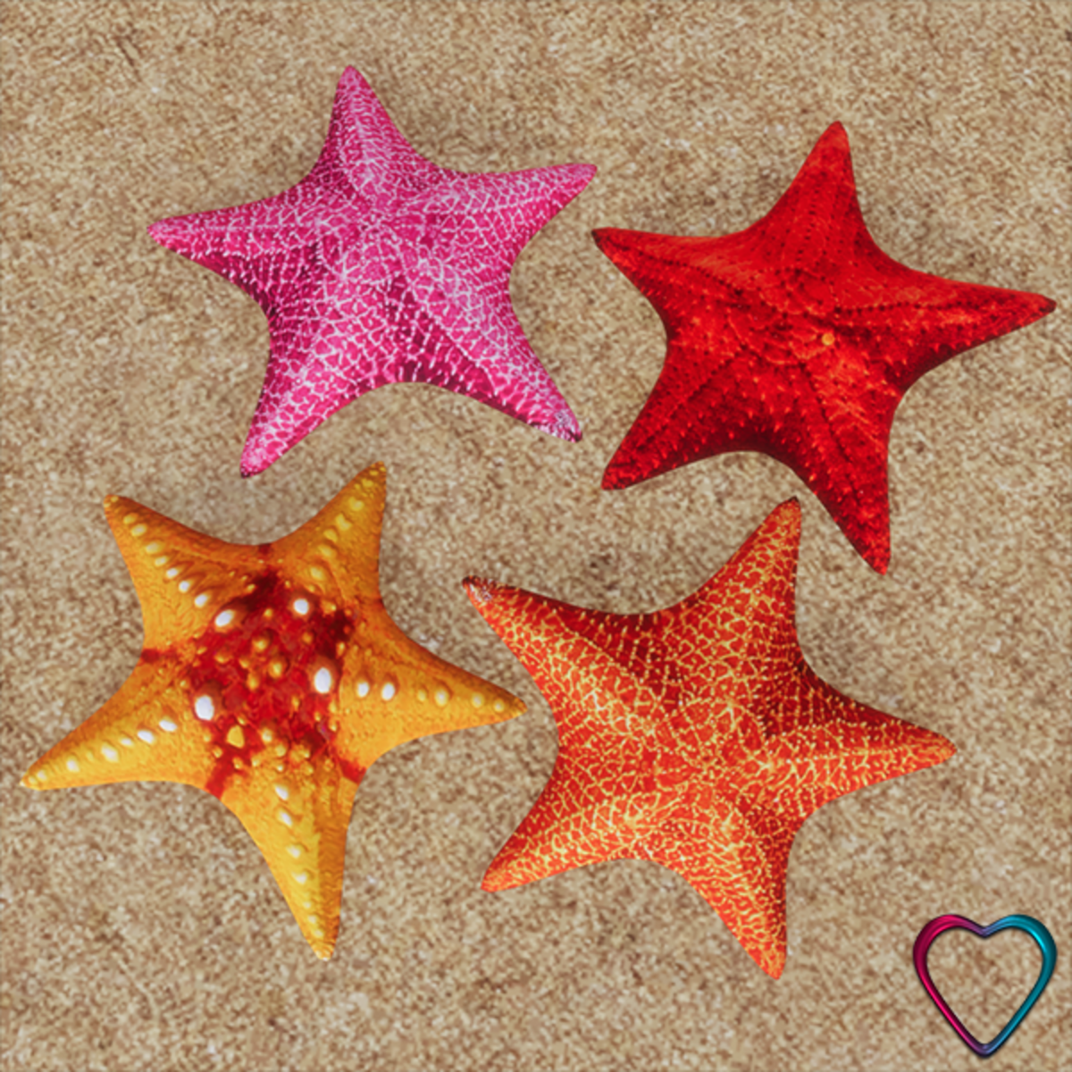 4 Shimmering Starfishes