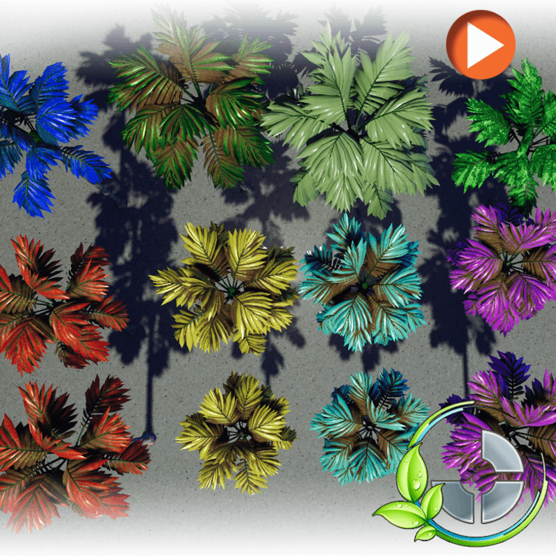 Animated Big Palm 1- Collection