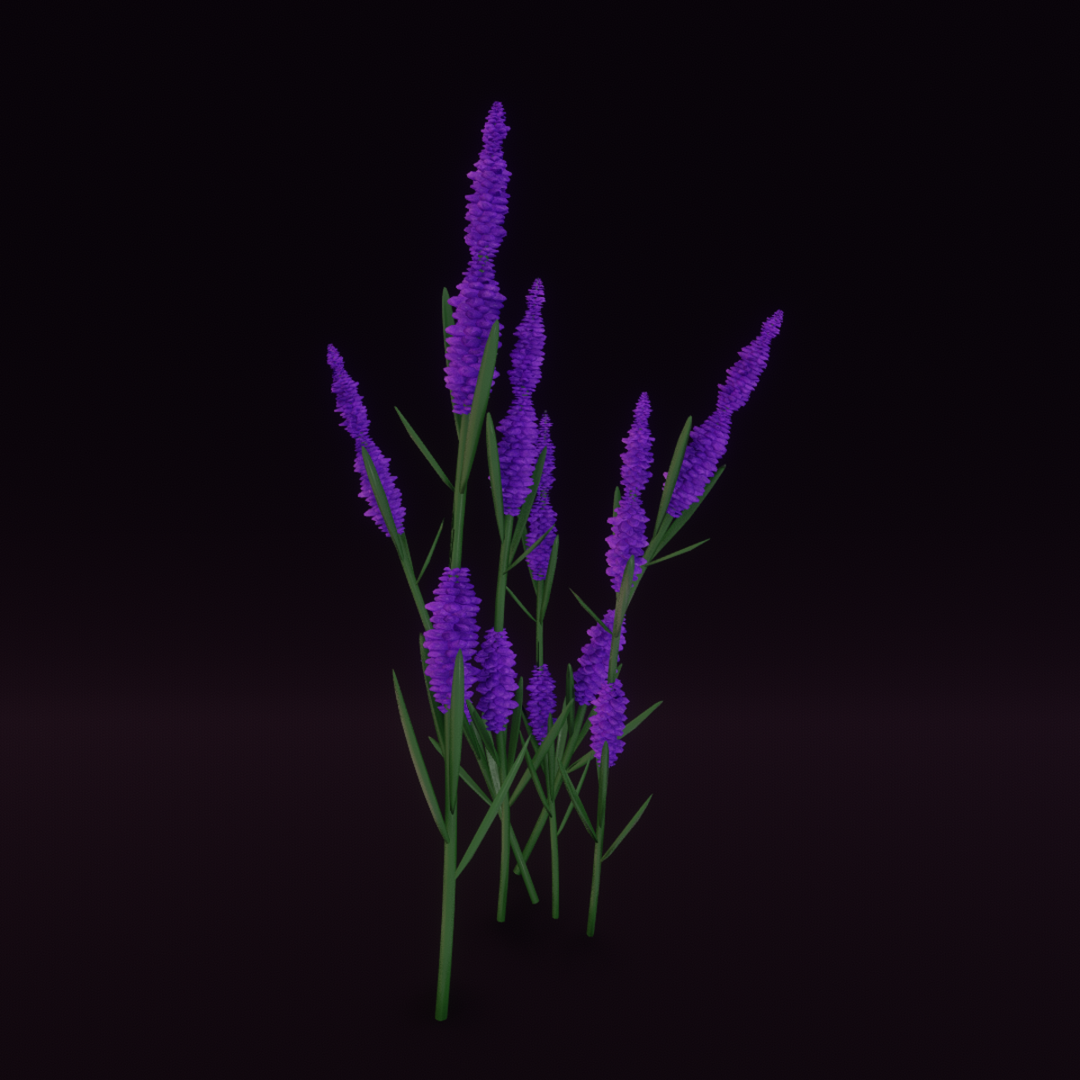 Lavender V2 (Lower Poly)