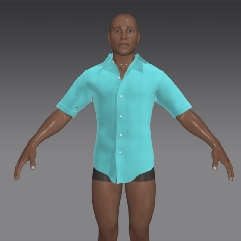 robins egg cotton batiste shirt