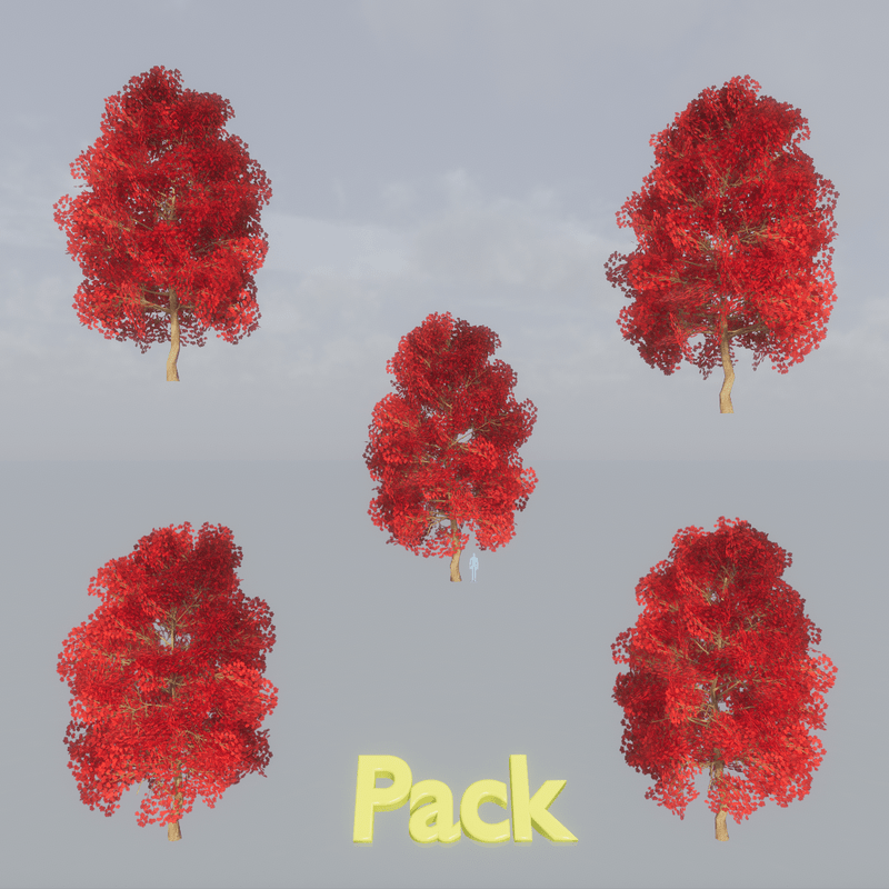 Maple Tree Pack Red