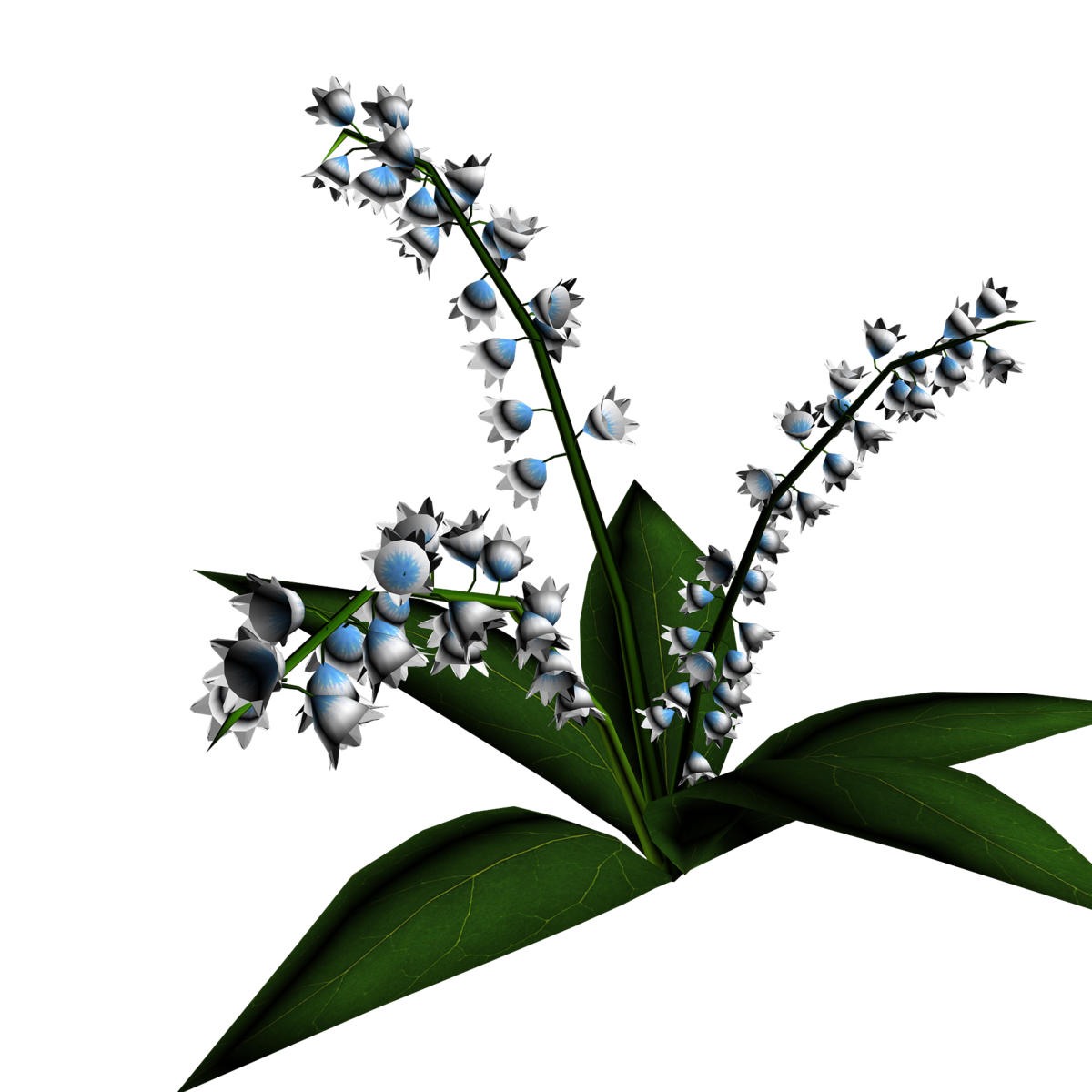 Lily of Valley Plant 3