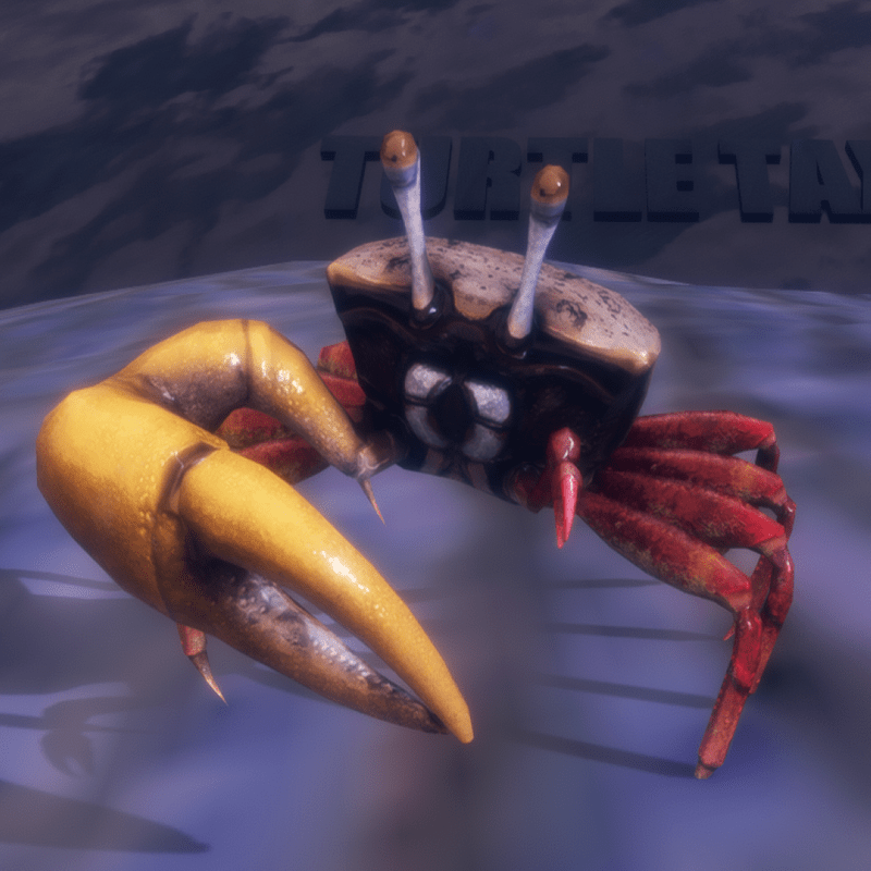 Winkerkrabbi - Uca Mjoebergi