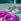 Animated Inner Tube Set for Experience