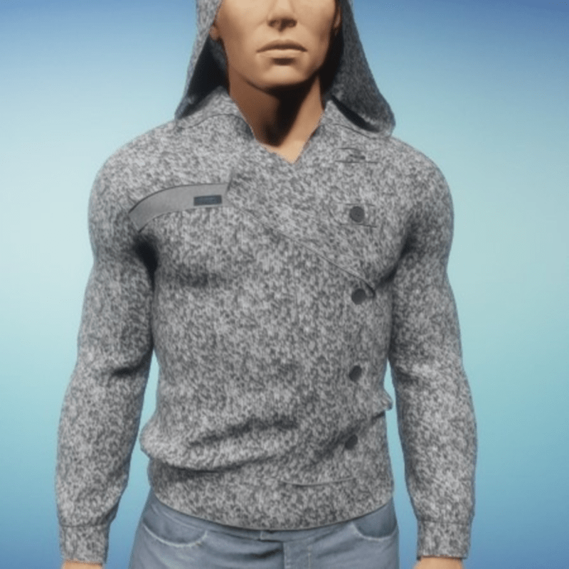sweater with hood gray W