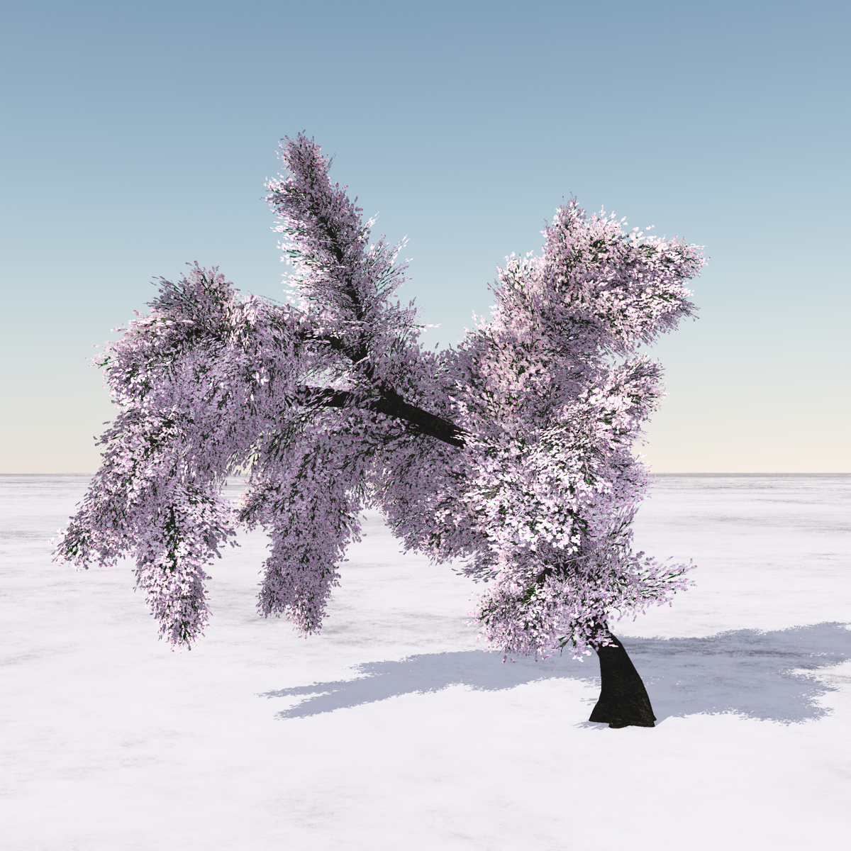Cherry Tree, animated with wind effect