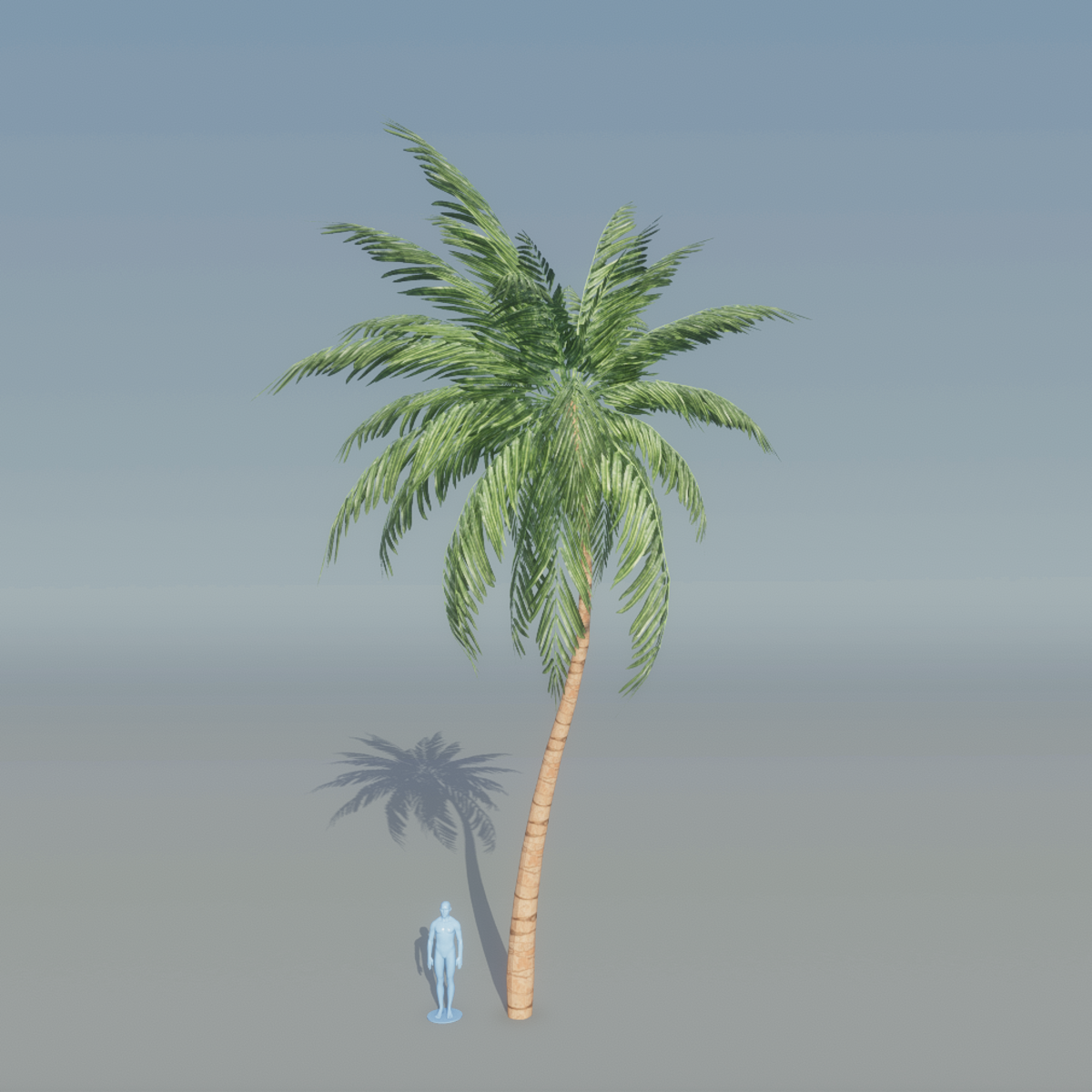 Palm Tree 2