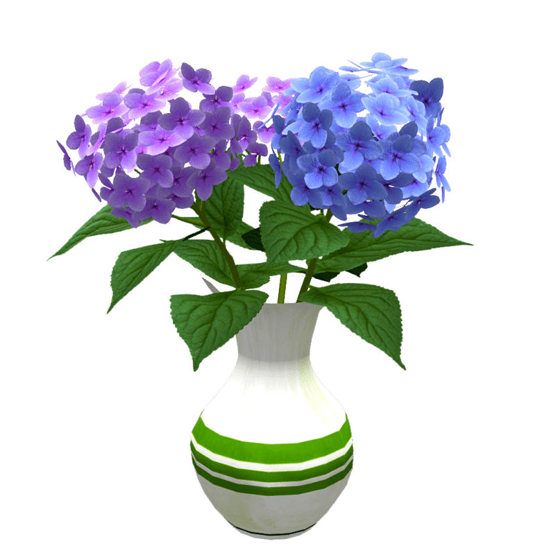 Hydrangea Bunch in Vase