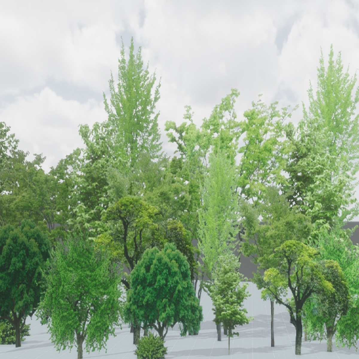 TREE BUNCH BACKDROP ENVIRONMENT FBX