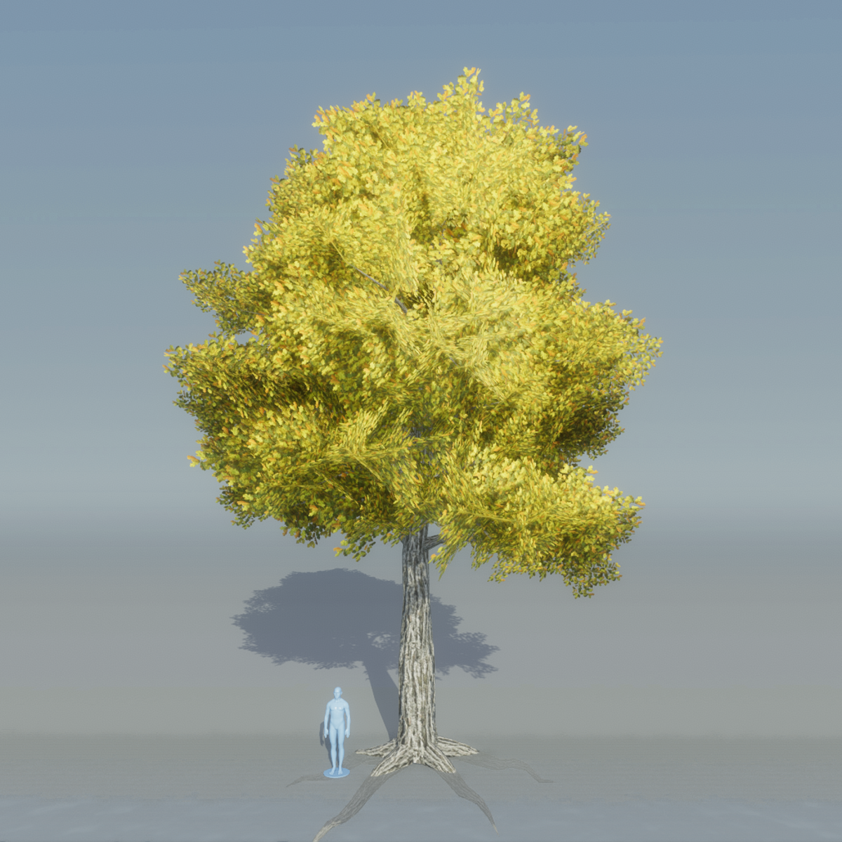 Oak Tree 2 with rots (yellow)