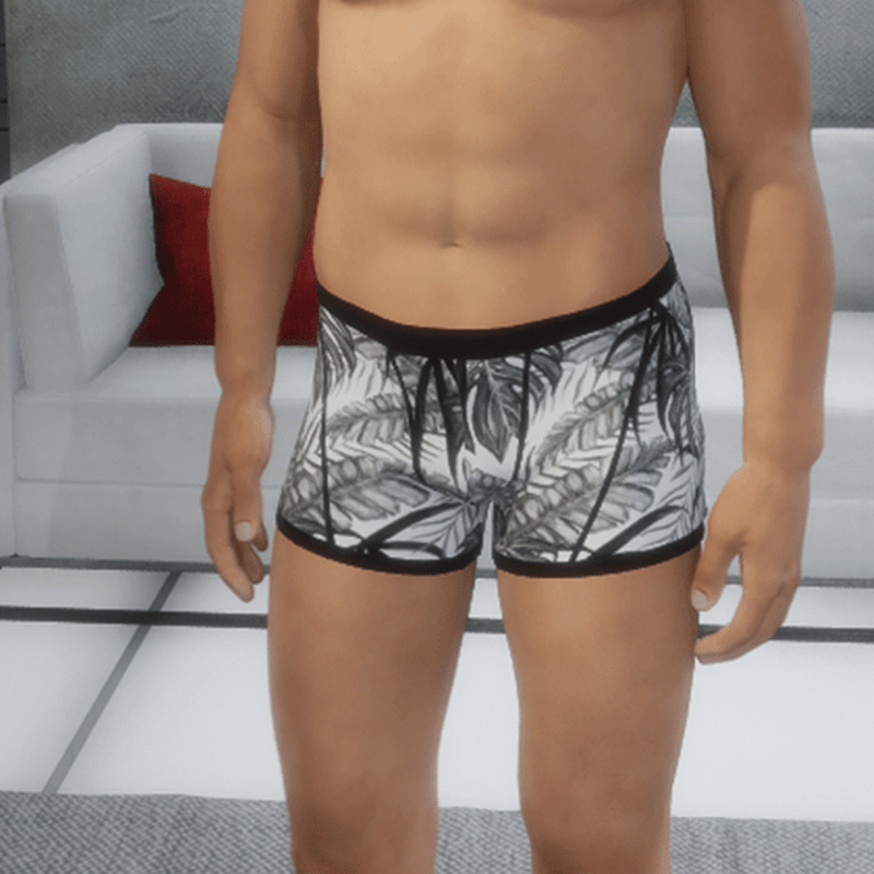 Boxer Briefs Rocky Pattern white