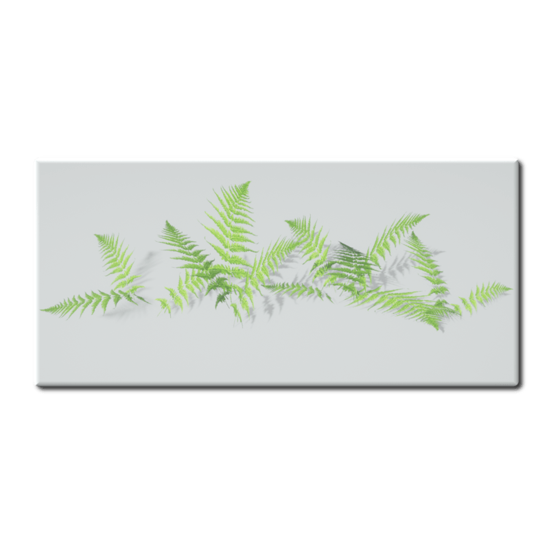 Fern Line