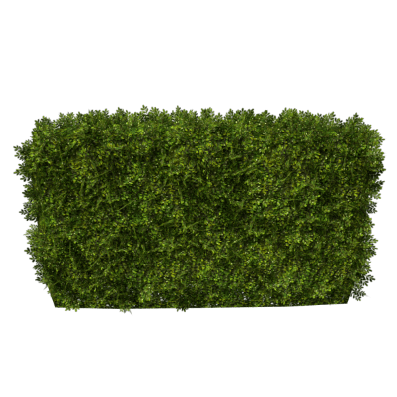 Hedge Straight 4x3 (Spring)