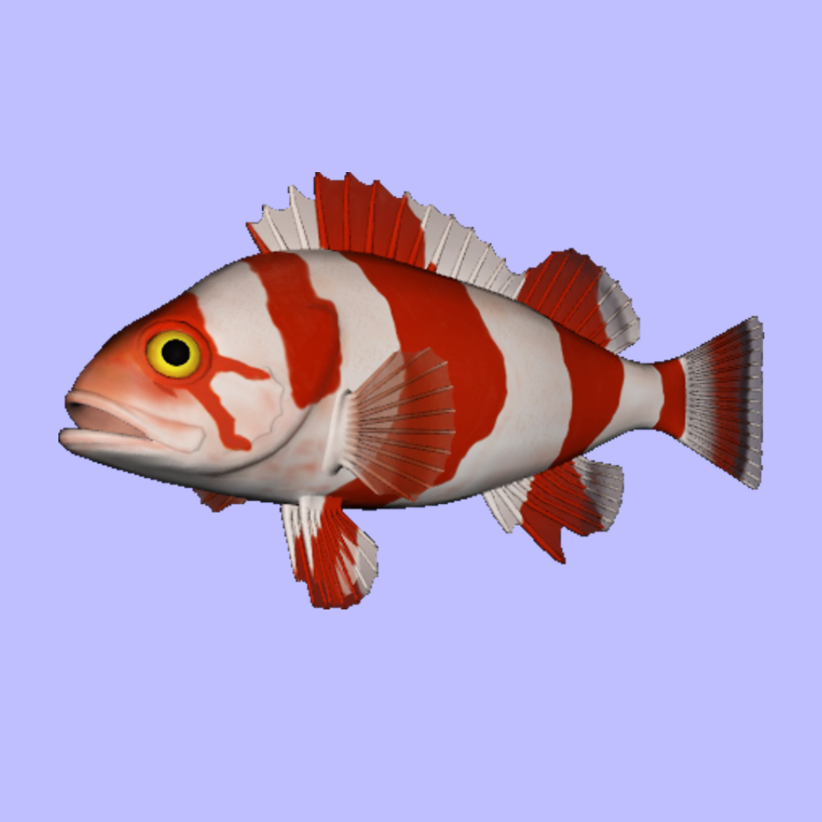Rockfish Flag Animated