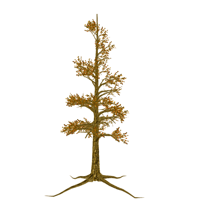 Sycamore Tree Spiral - FALL