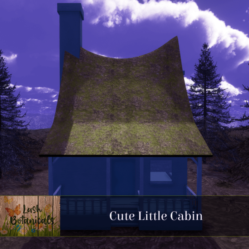 Cute Little Cabin