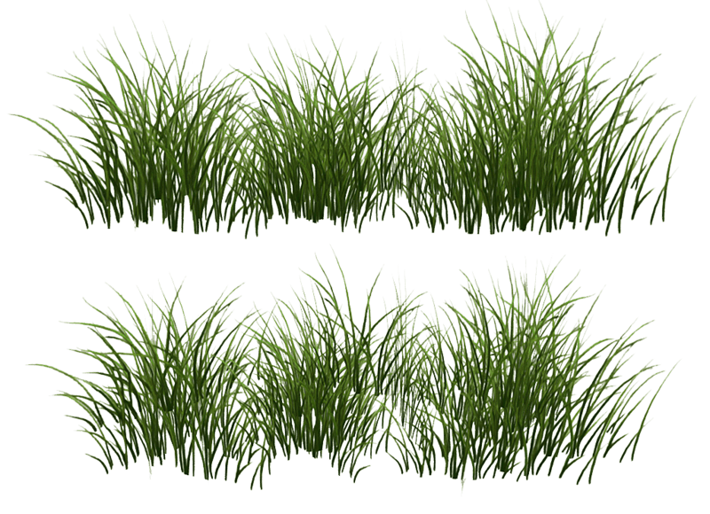 Grass - 3 clumps v2