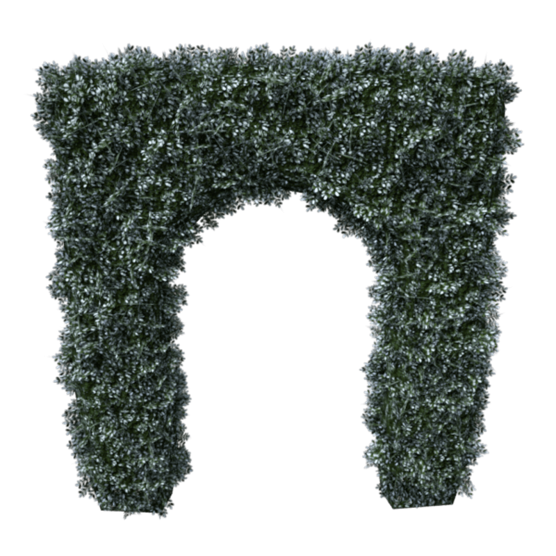 Hedge Arch 4x6 (Winter)