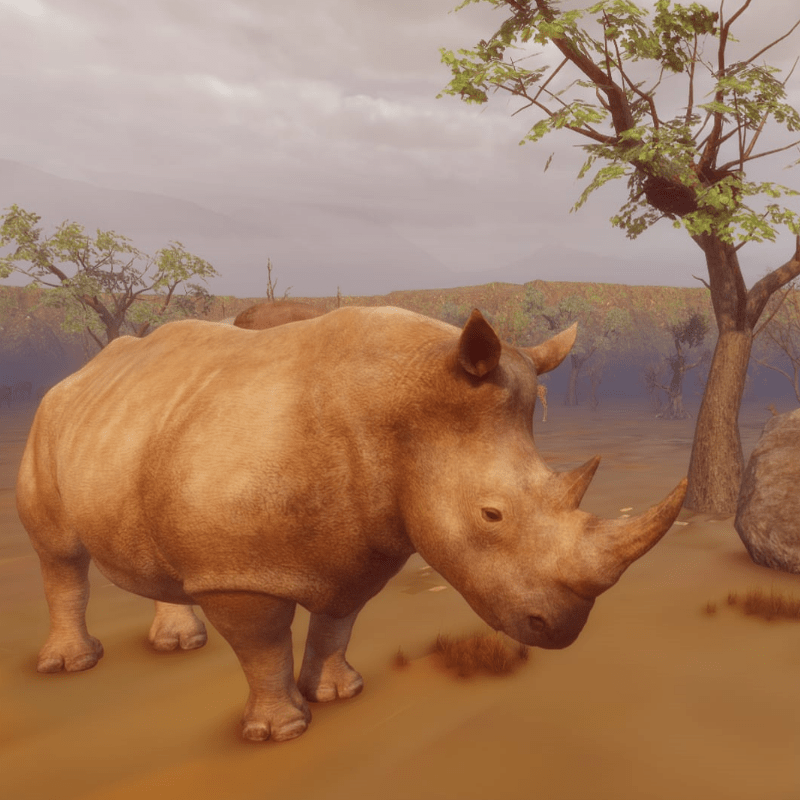 Graues Nashorn animiert