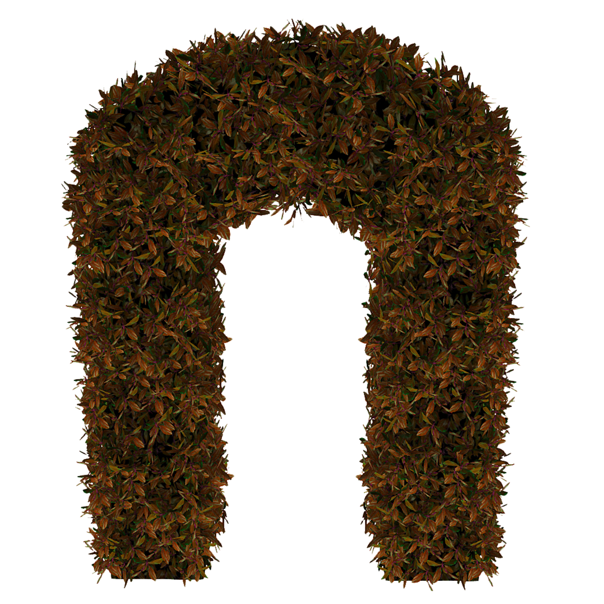 Hedge Arch_Copper