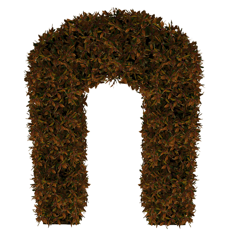 Hedge Arch_Copper