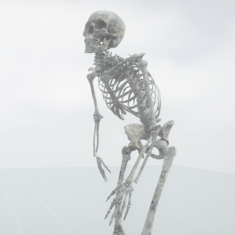 Animated Rotting Skeleton Shambling Forward 44 Feet