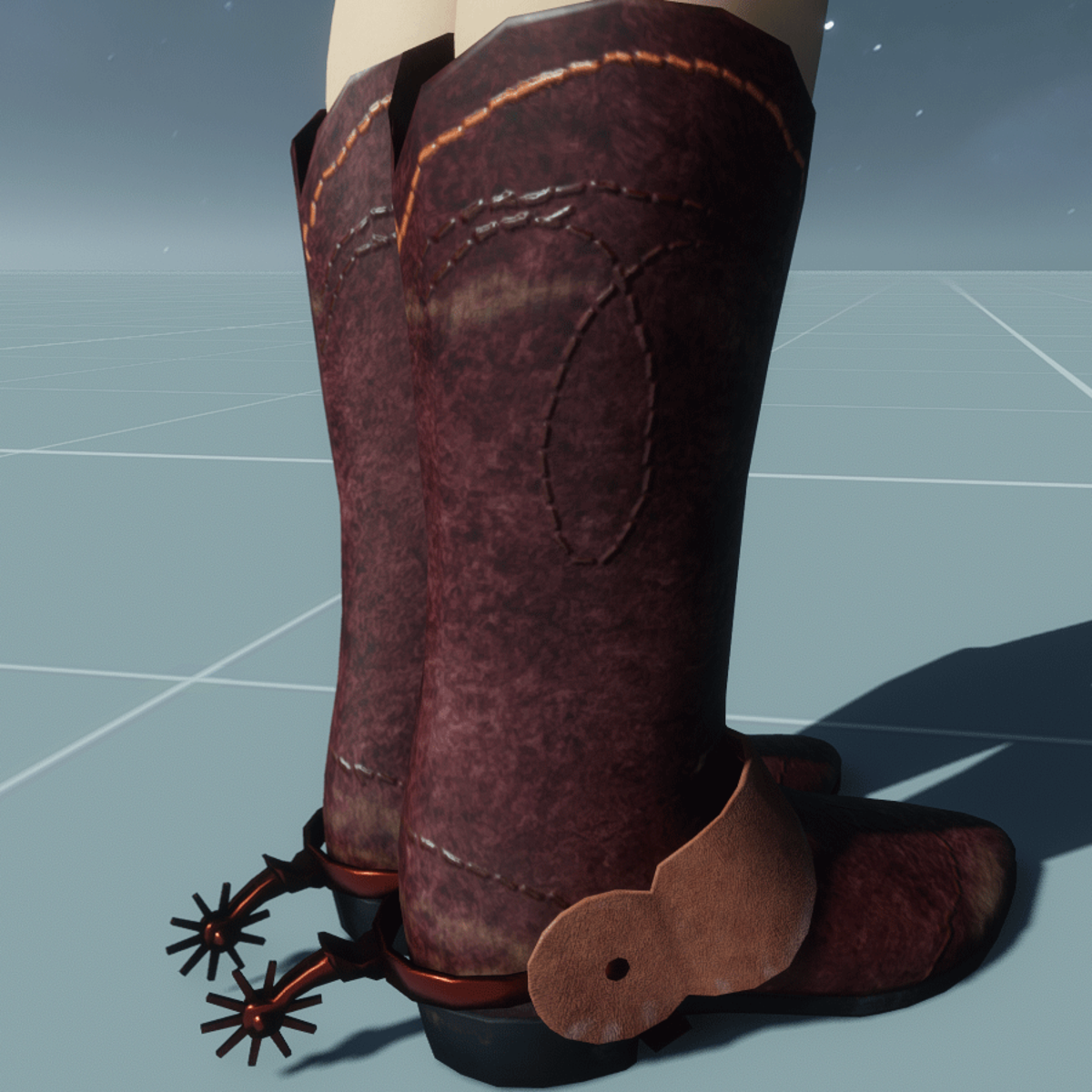 Cowgirl Boots with Spurs