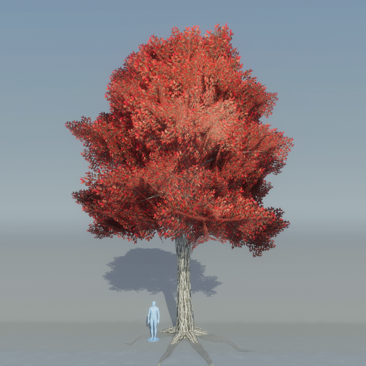 Oak Tree 1 (red)
