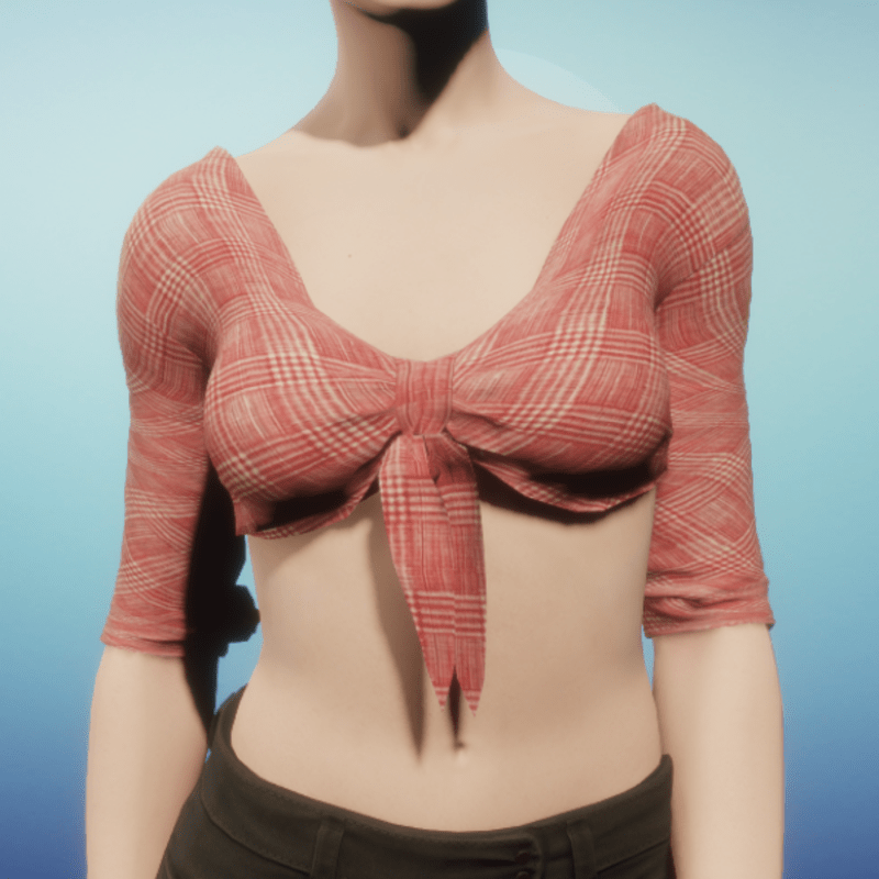 Red Woven Tied Crop Top