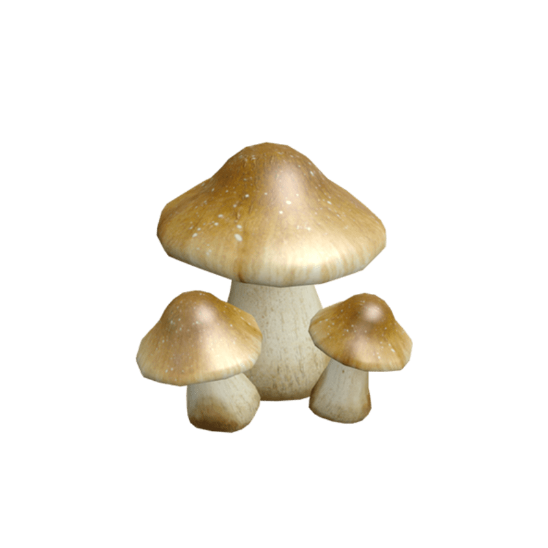 Mushrooms 1