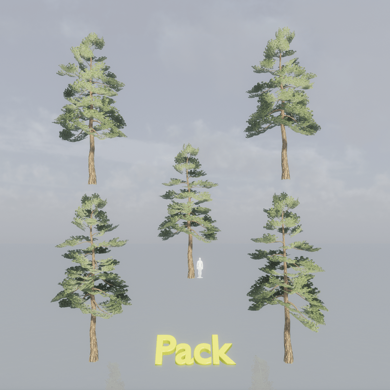 Pine Tree Pack