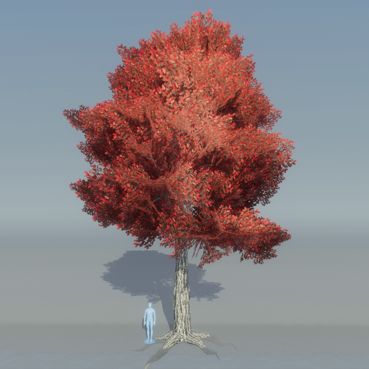 Oak Tree 5 with roots (red)