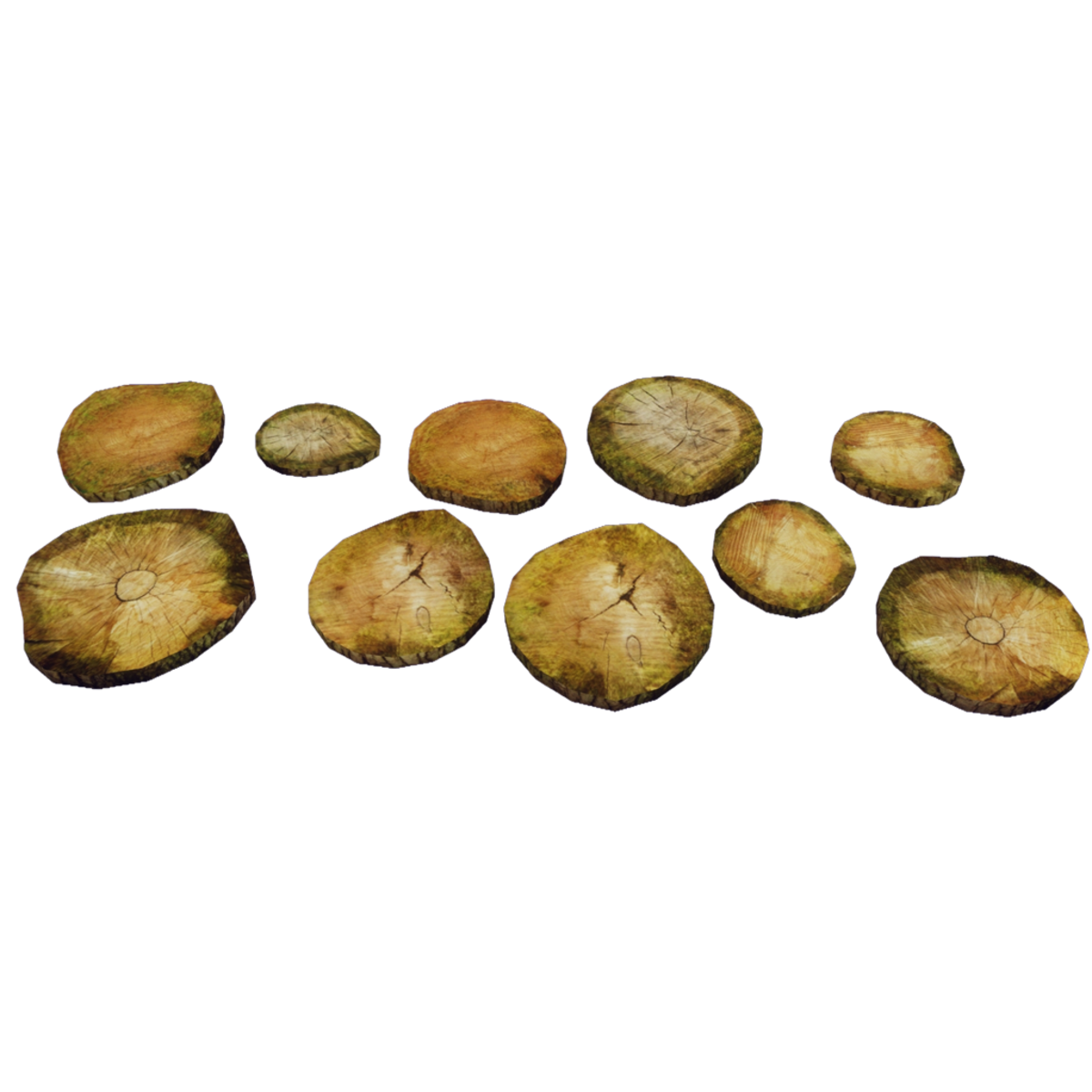 Wood Slab Path - Spring