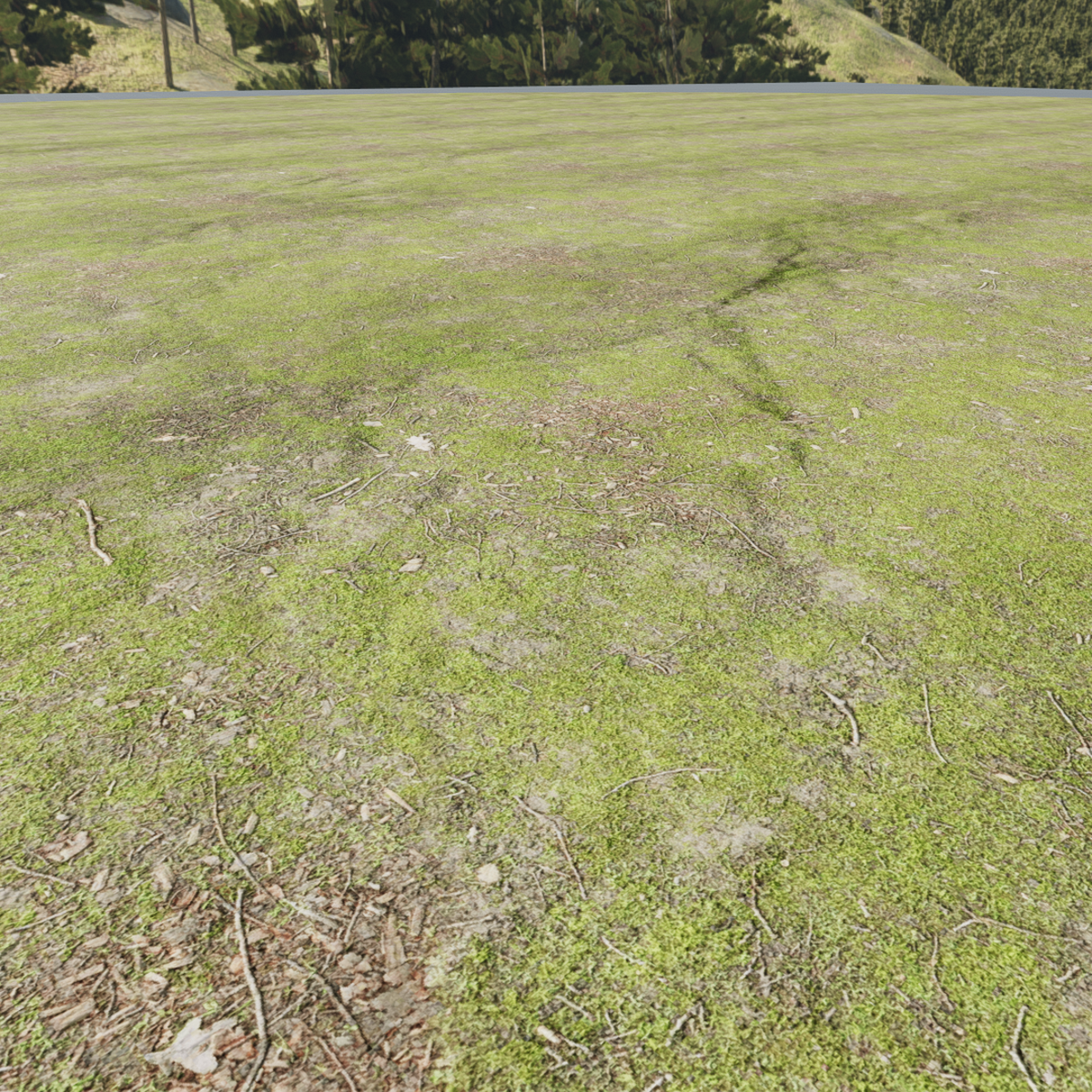 Forest Ground Detail