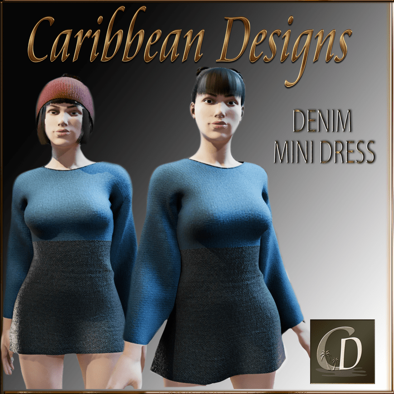 Denim Mini Dress