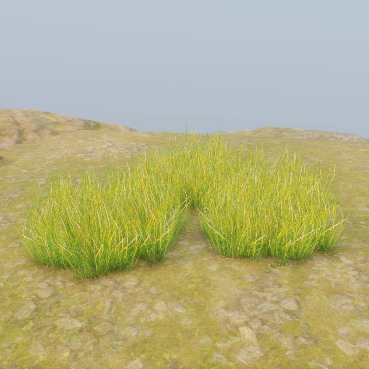 BASIC_OLD_GRASS_M2