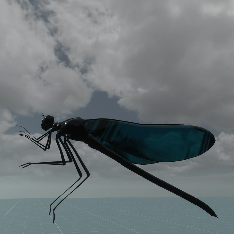 dark dragonfly