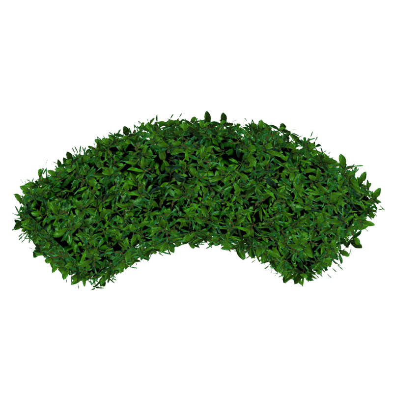Hedge Curved - Green