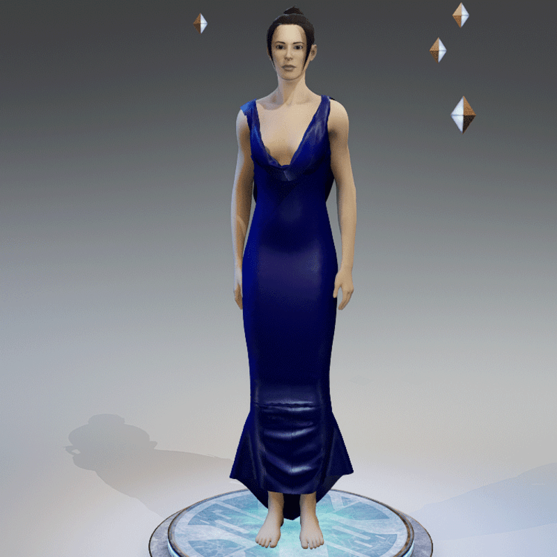 Elegant Dress NAVY BLUE