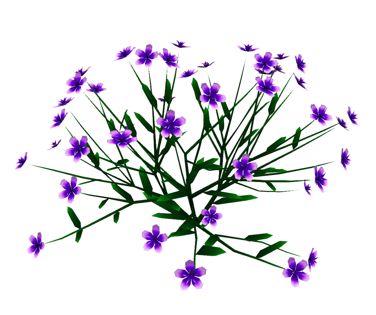 Princess Flower Plant - Med