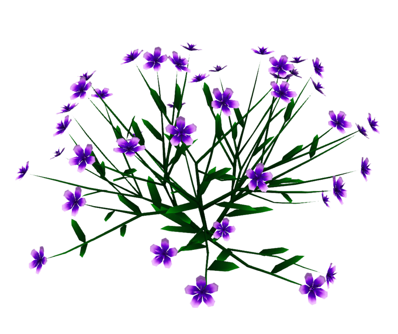 Princess Flower Plant - Med