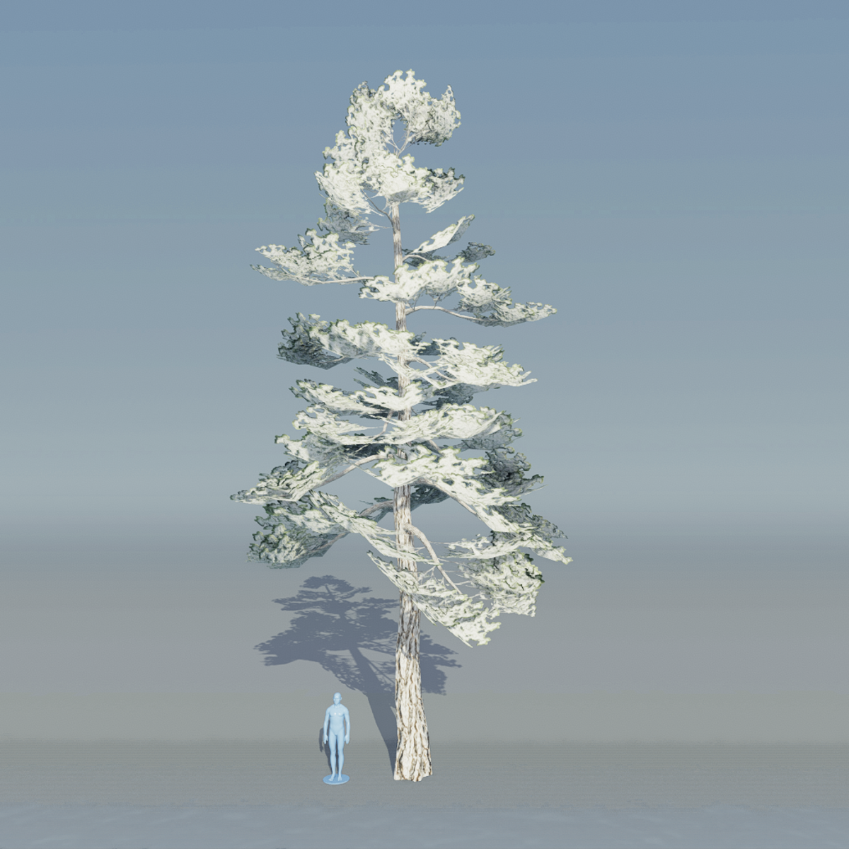 Pine tree 2 with snow