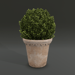 Trimmed Buxus Ball w/ Terracotta Planter