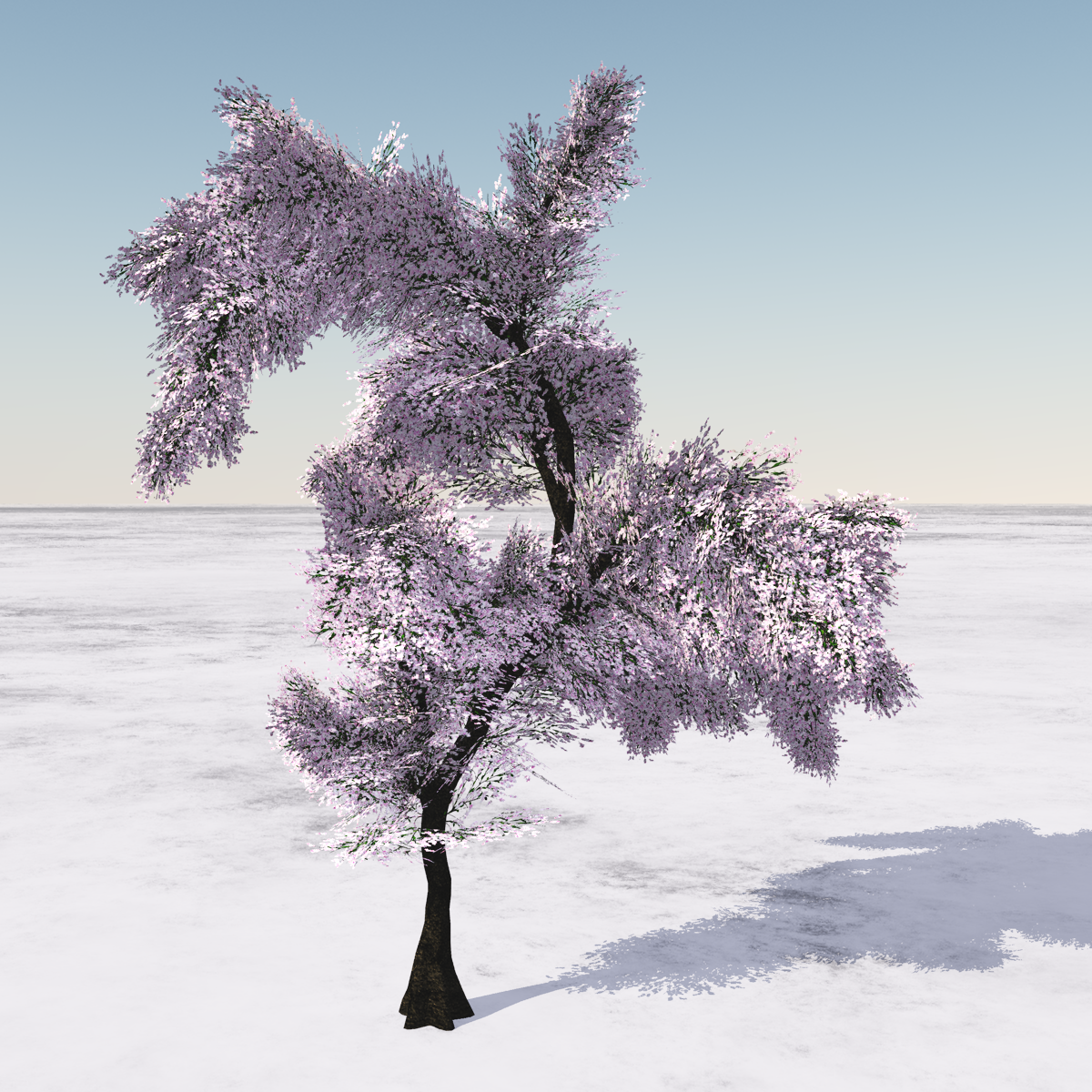 Cherry Tree, animated with wind effect