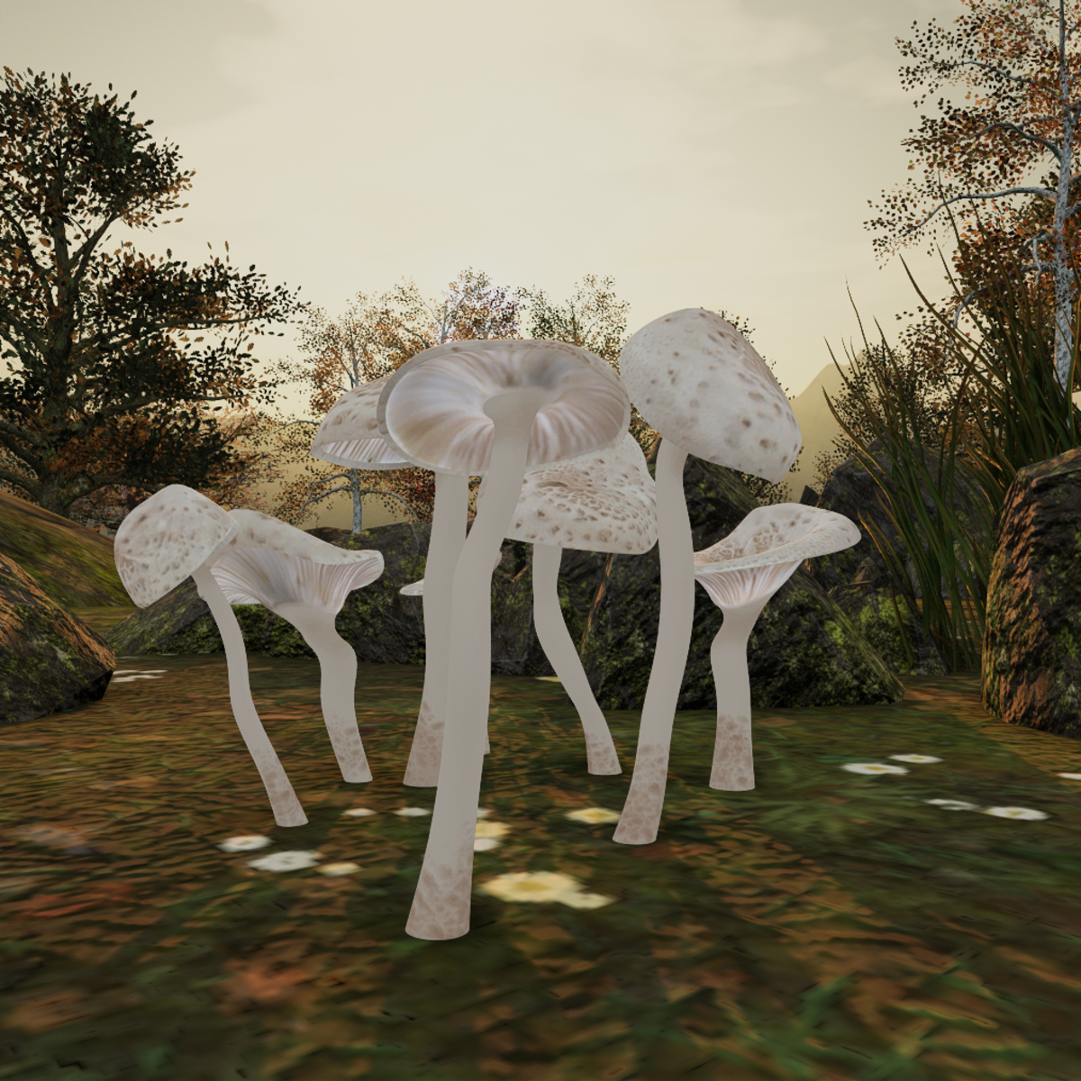 Fall Mushrooms Neutral