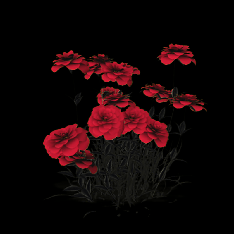 Red Billboard Flowers