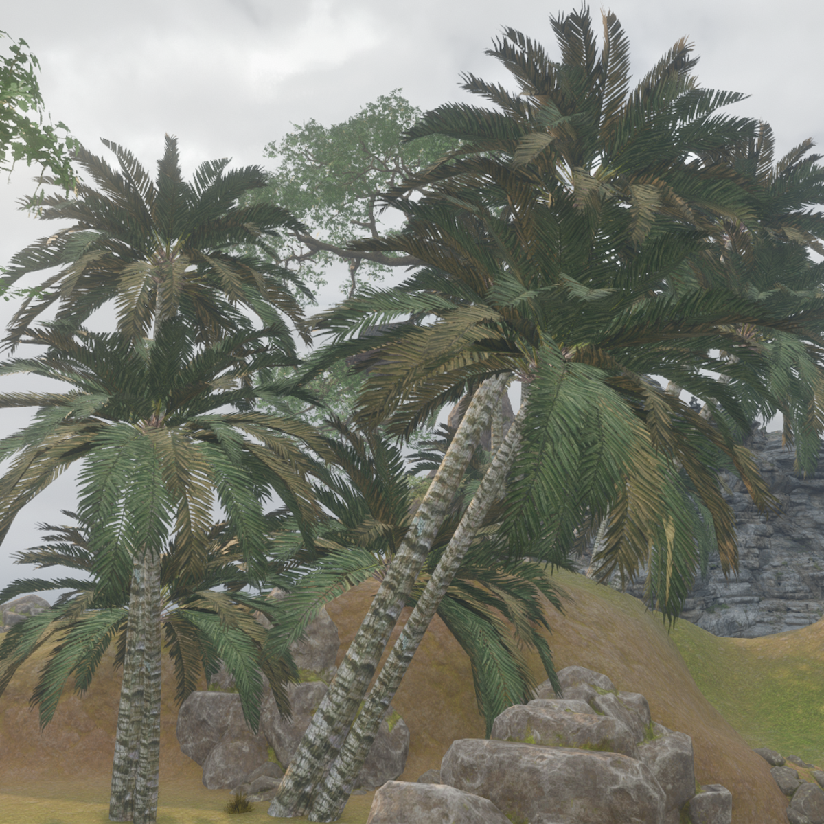 SIX animated palm trees