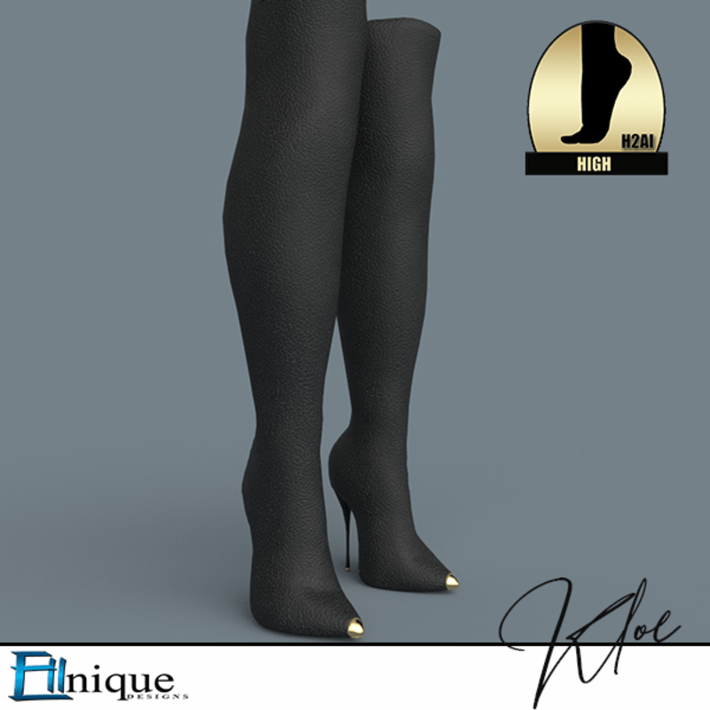 Kloe Thigh High Boots 2" High. H2AI