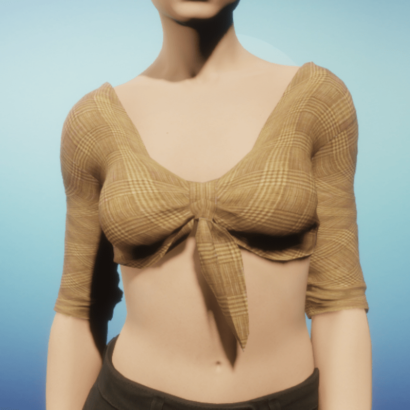 Woven Tan Tied Crop Top